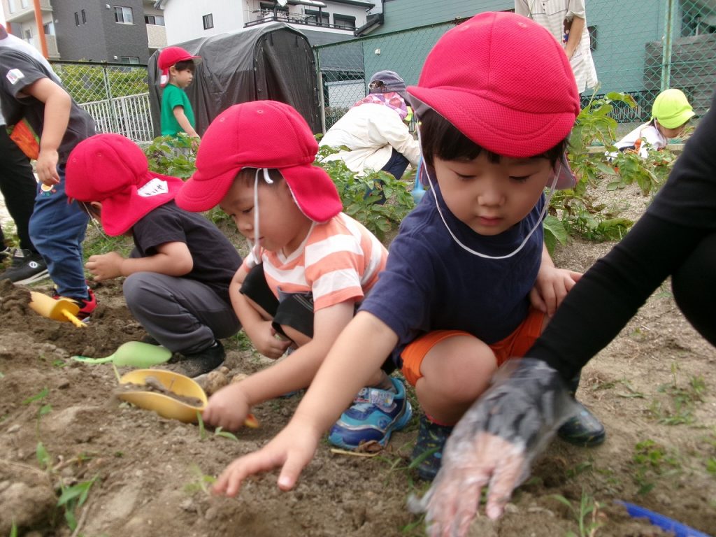 じゃがいも掘りをしたよ！